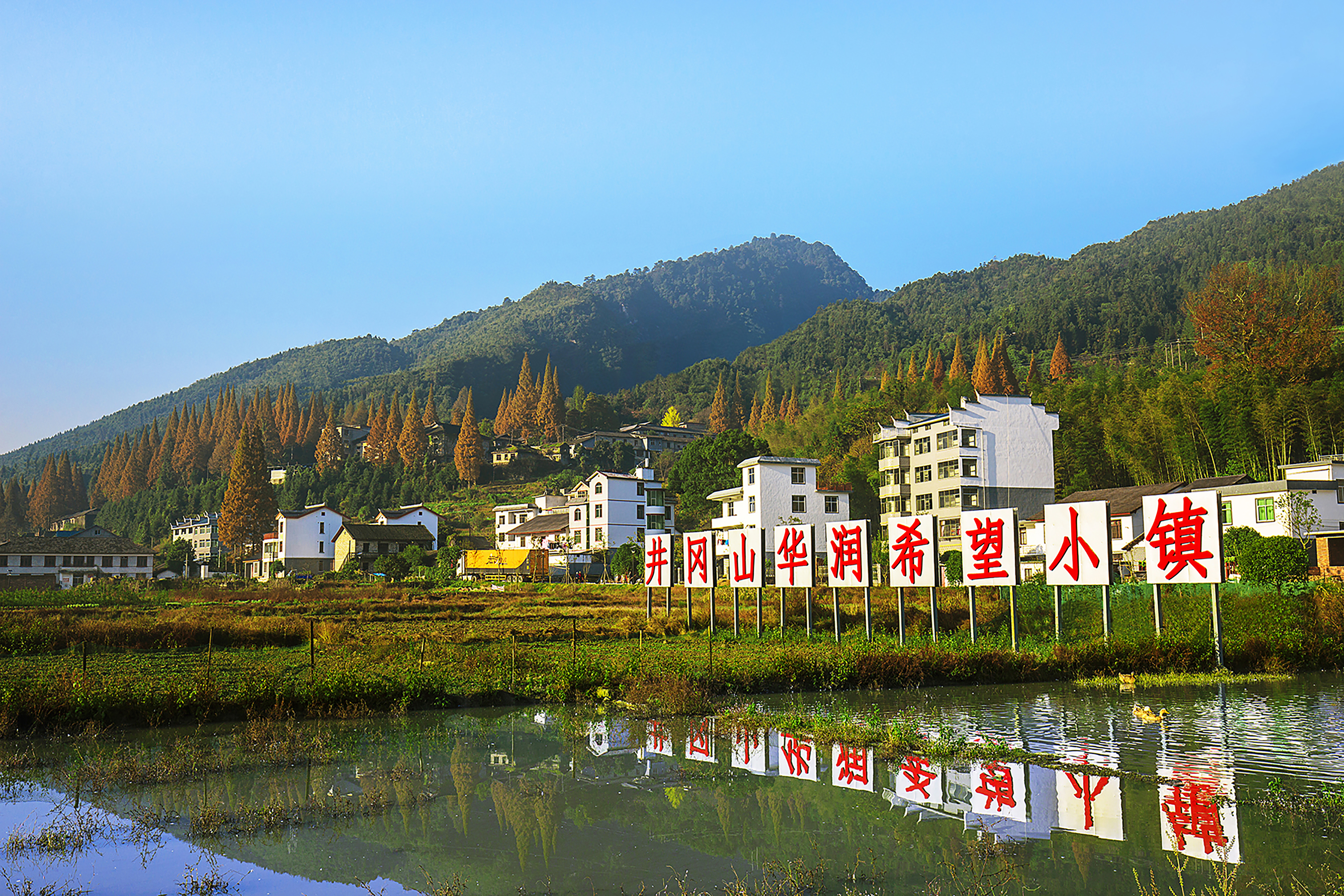 图1、井冈山华润希望小镇.jpg